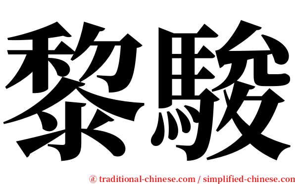 黎駿 serif font