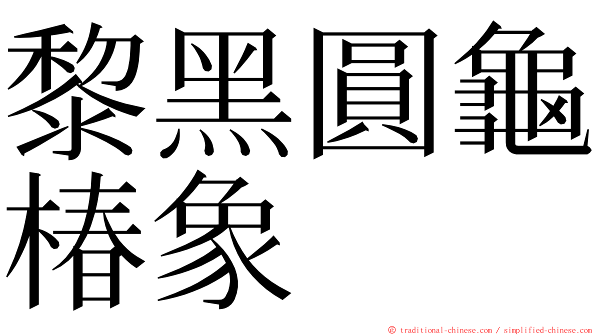 黎黑圓龜椿象 ming font