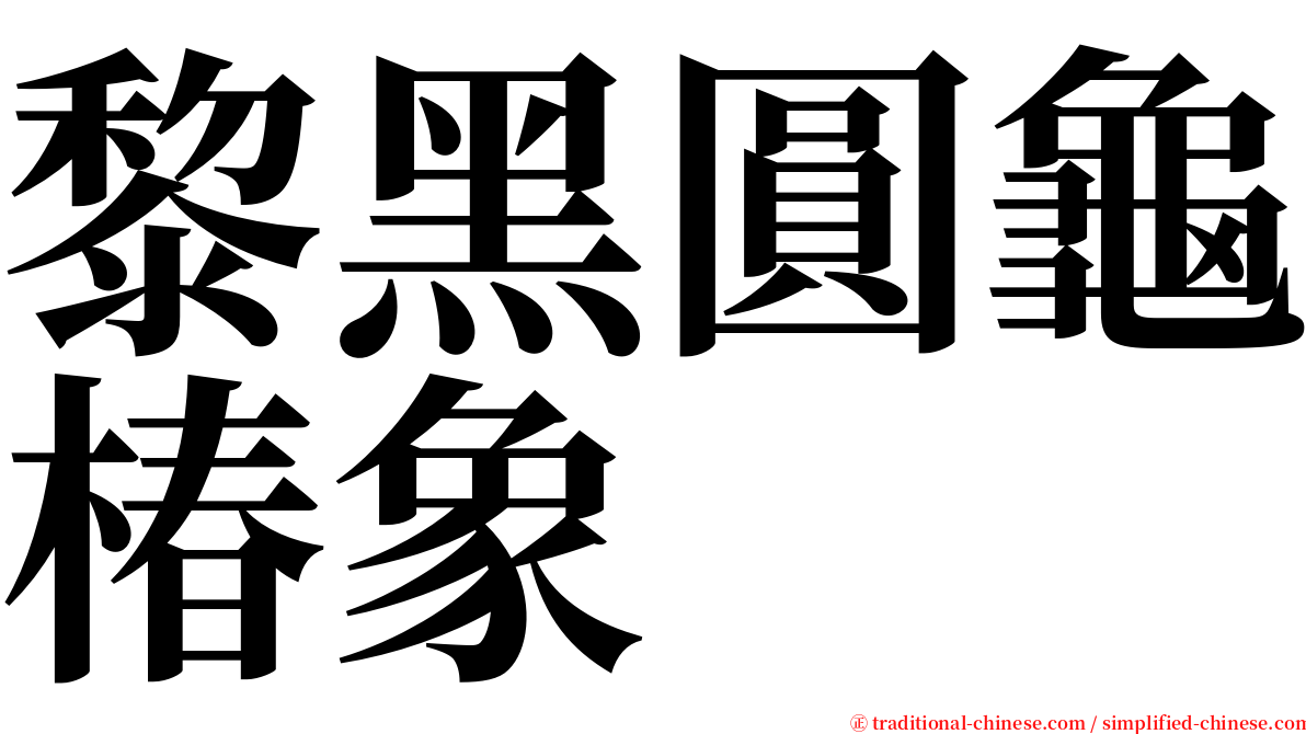 黎黑圓龜椿象 serif font