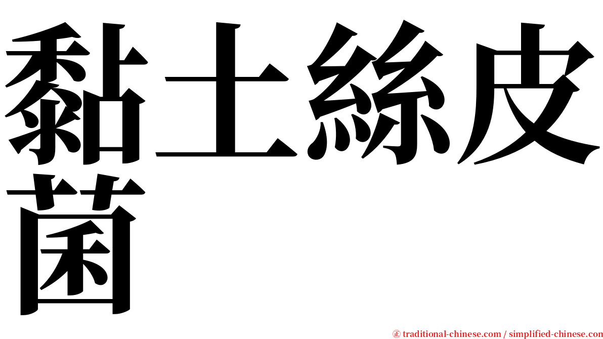 黏土絲皮菌 serif font