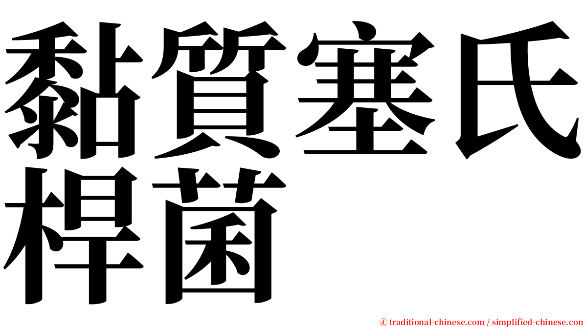 黏質塞氏桿菌 serif font