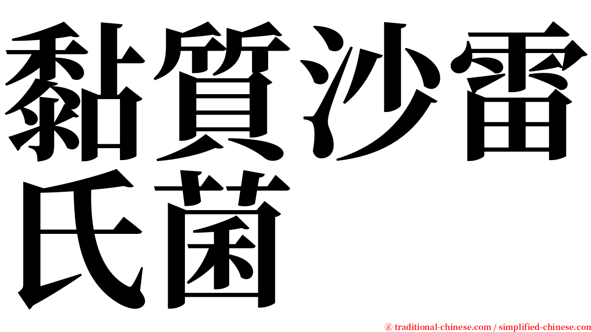 黏質沙雷氏菌 serif font