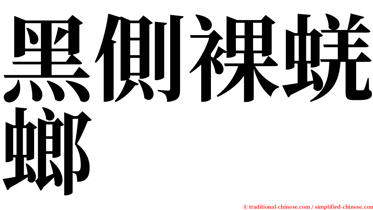 黑側裸蜣螂 serif font