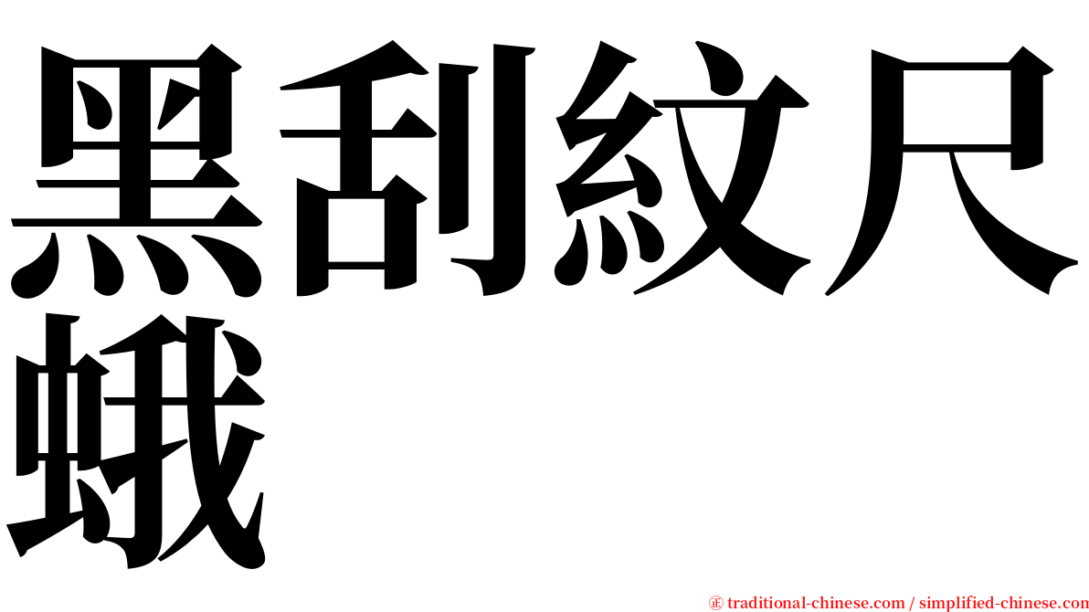 黑刮紋尺蛾 serif font