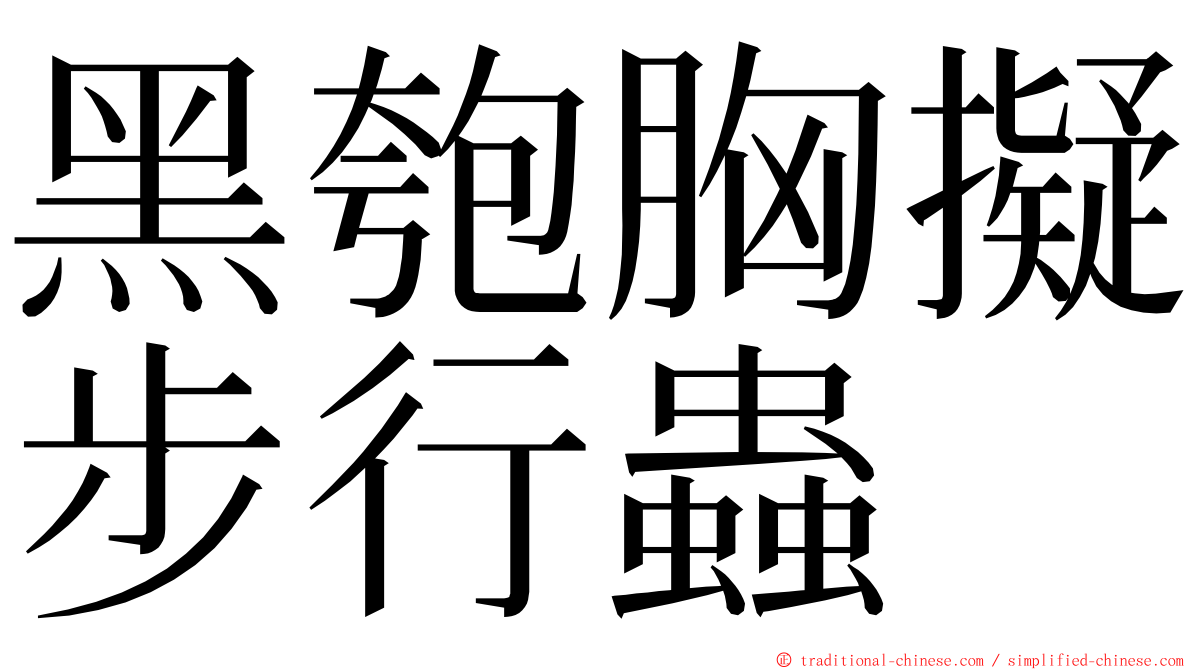 黑匏胸擬步行蟲 ming font