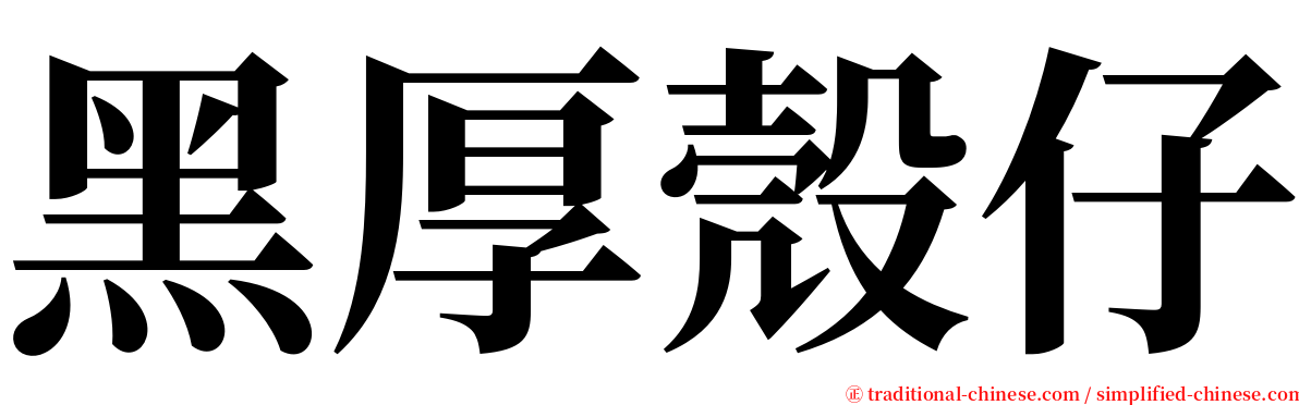 黑厚殼仔 serif font