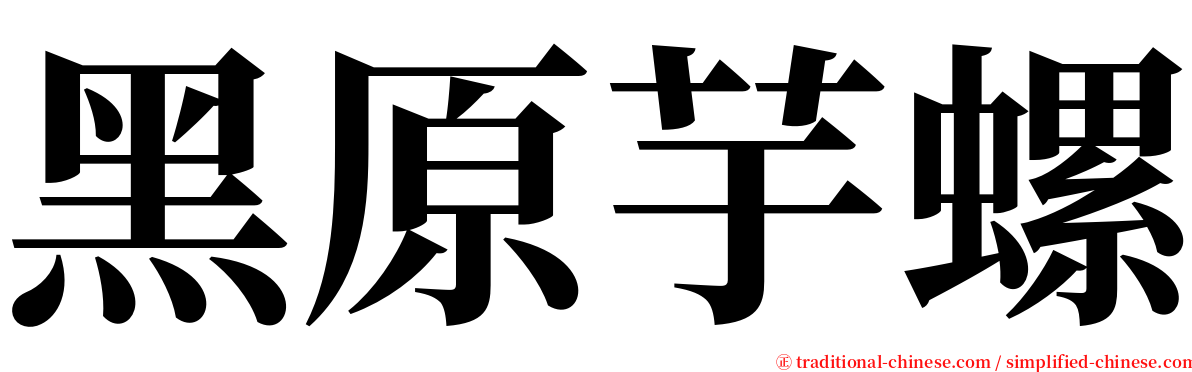 黑原芋螺 serif font