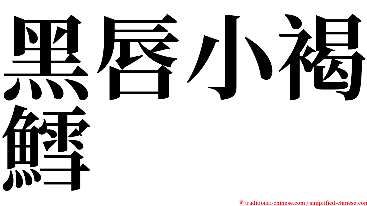 黑唇小褐鱈 serif font