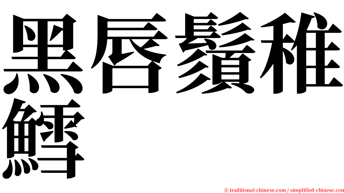 黑唇鬚稚鱈 serif font