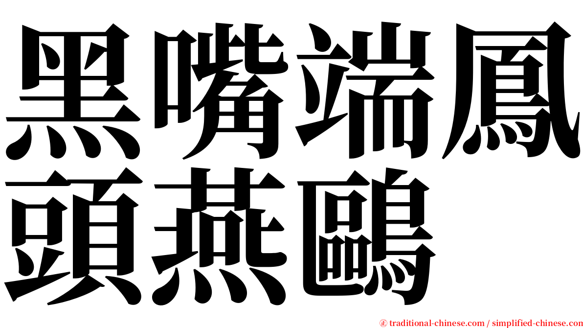 黑嘴端鳳頭燕鷗 serif font