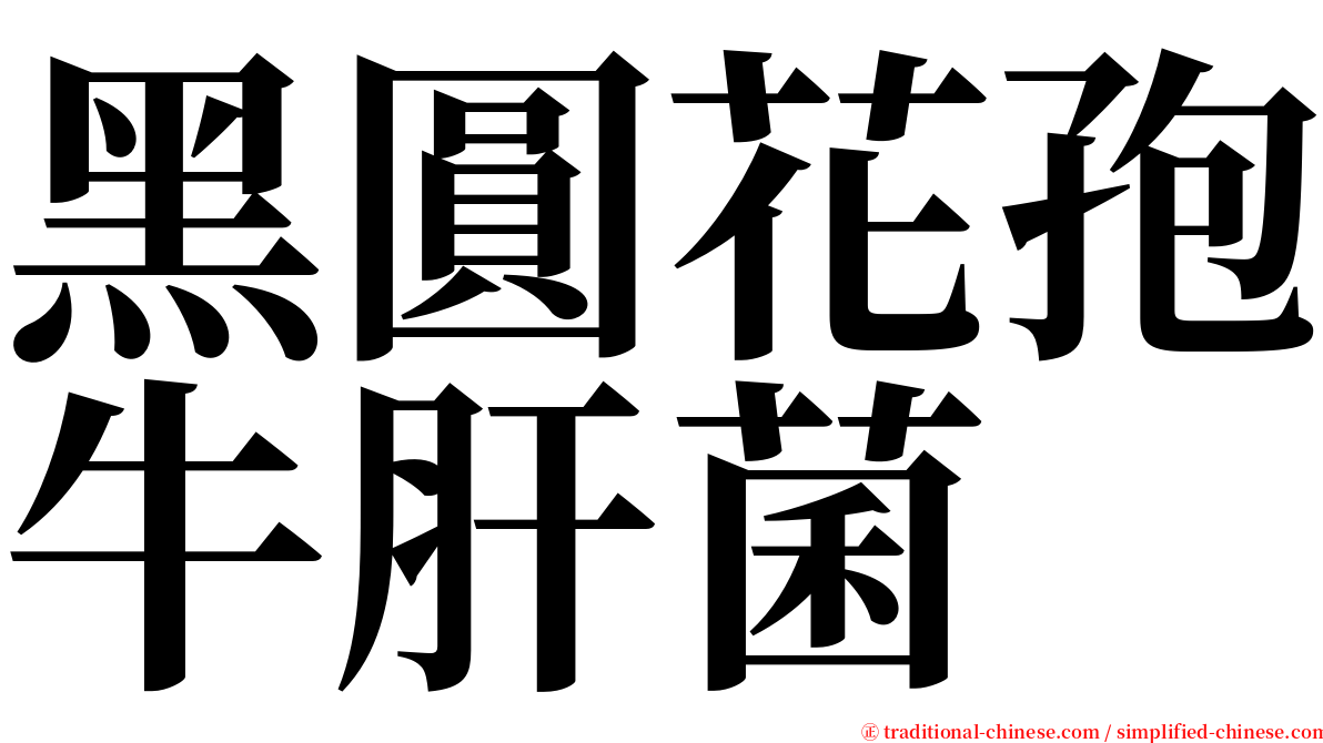 黑圓花孢牛肝菌 serif font