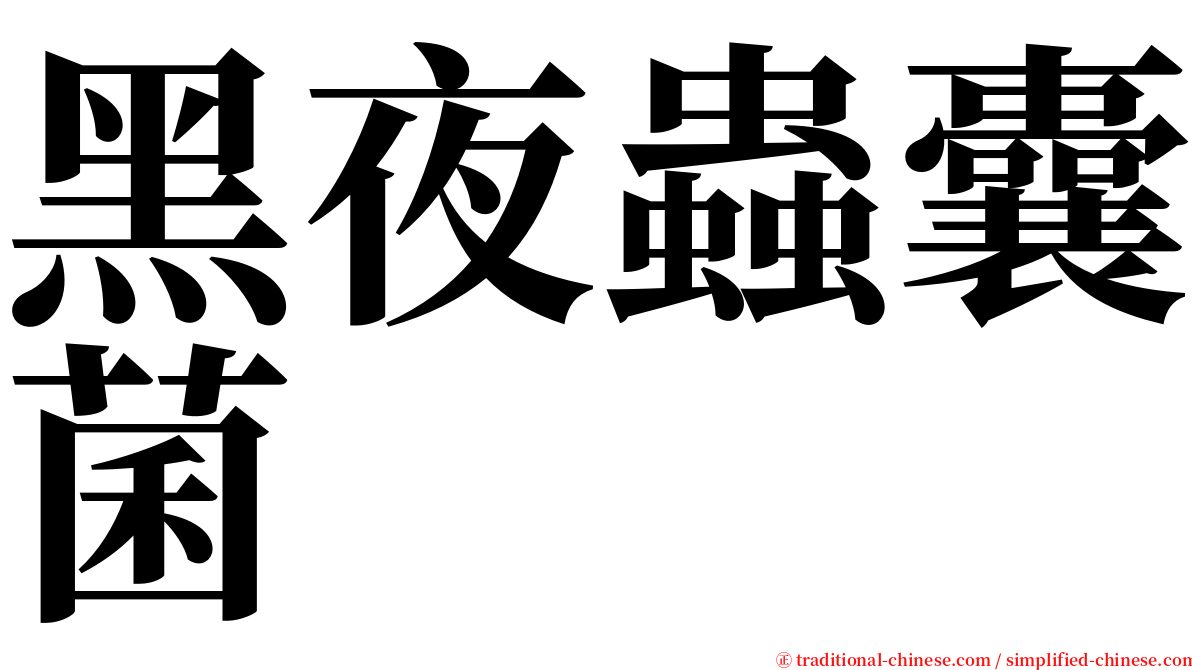 黑夜蟲囊菌 serif font