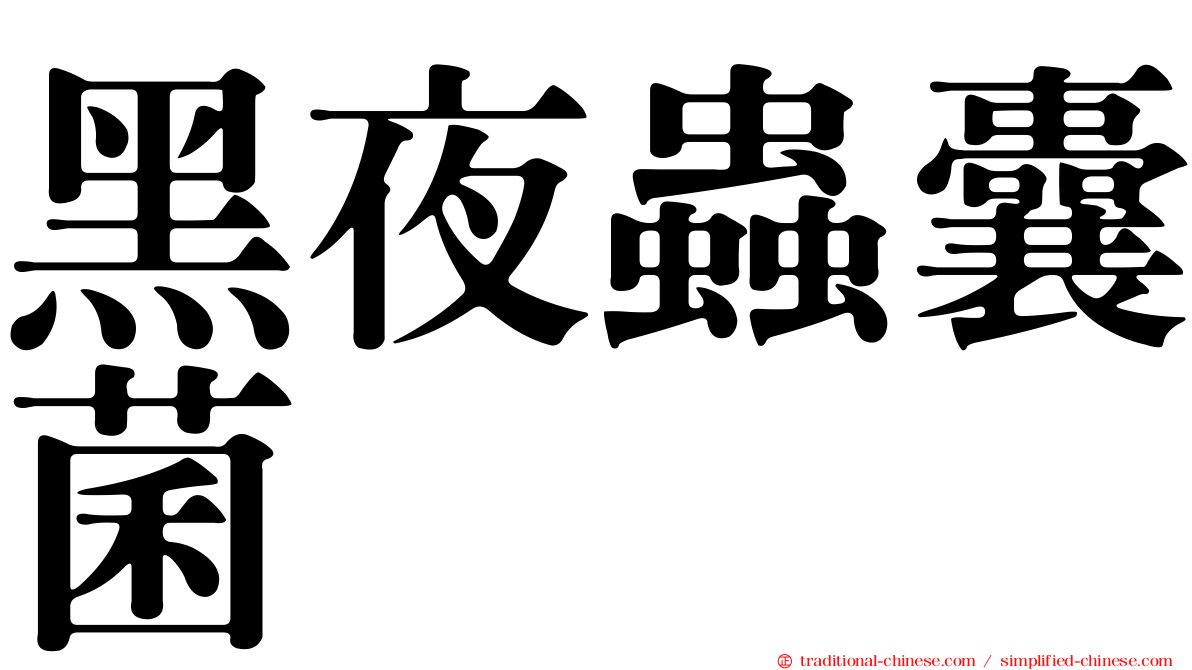 黑夜蟲囊菌