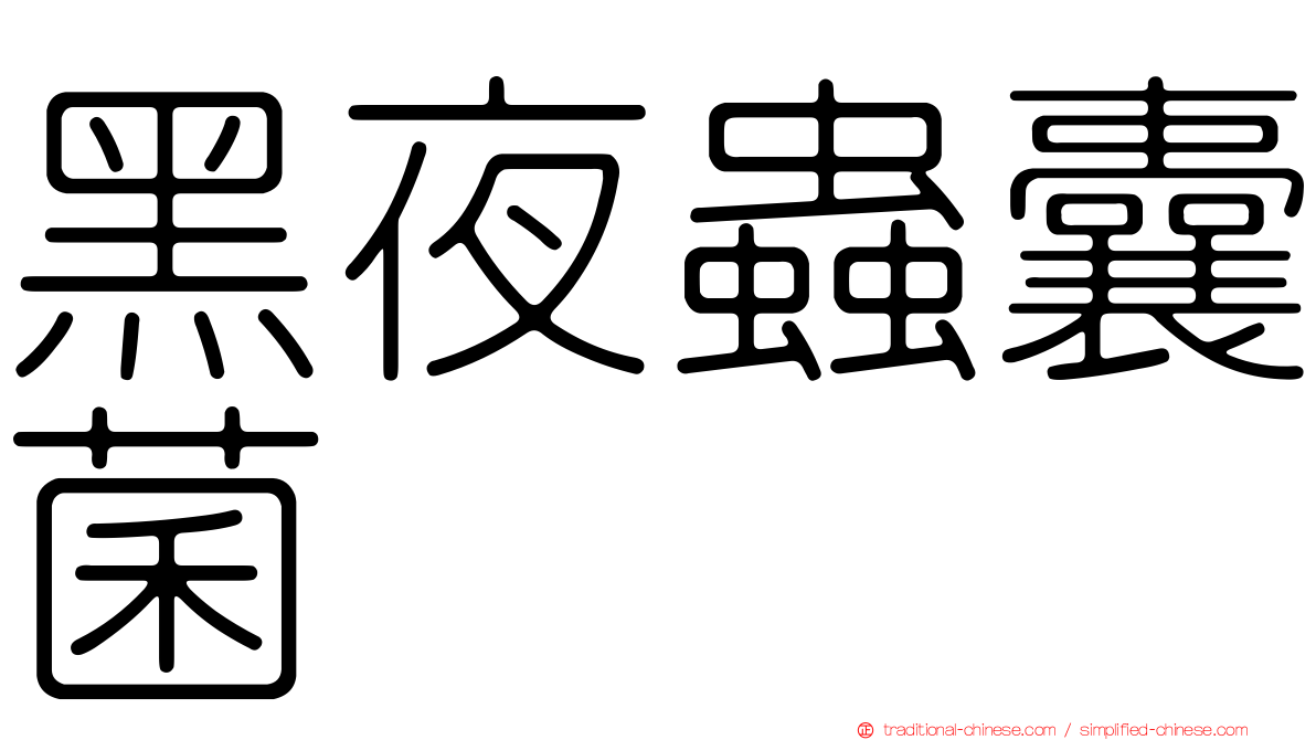 黑夜蟲囊菌