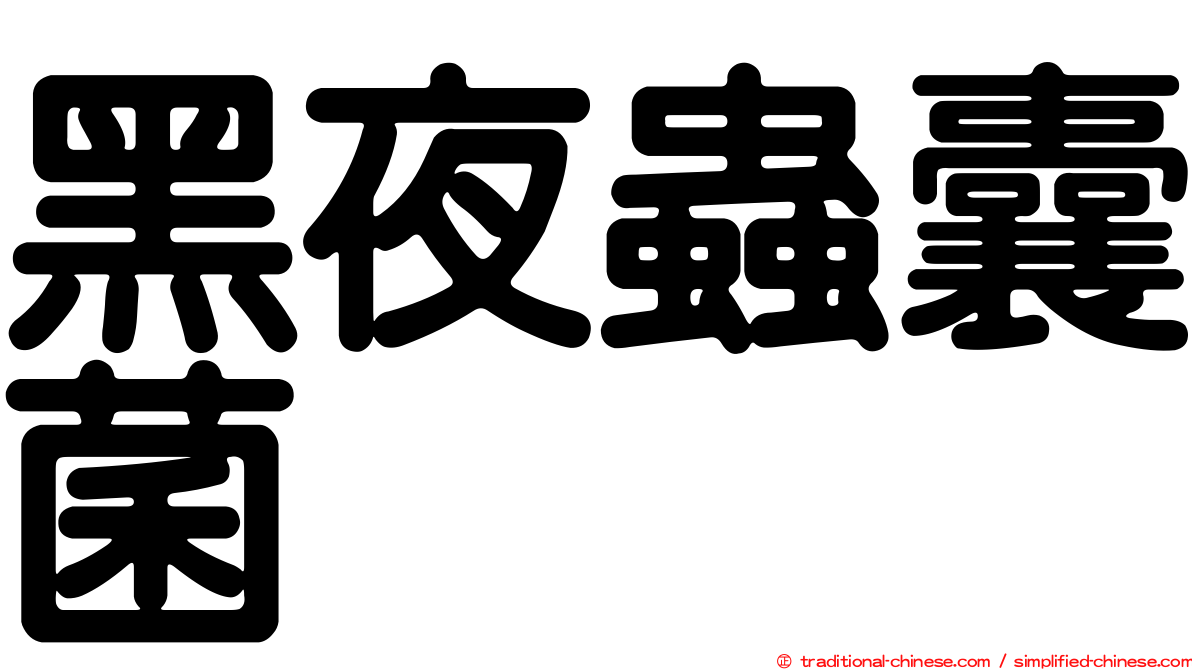 黑夜蟲囊菌