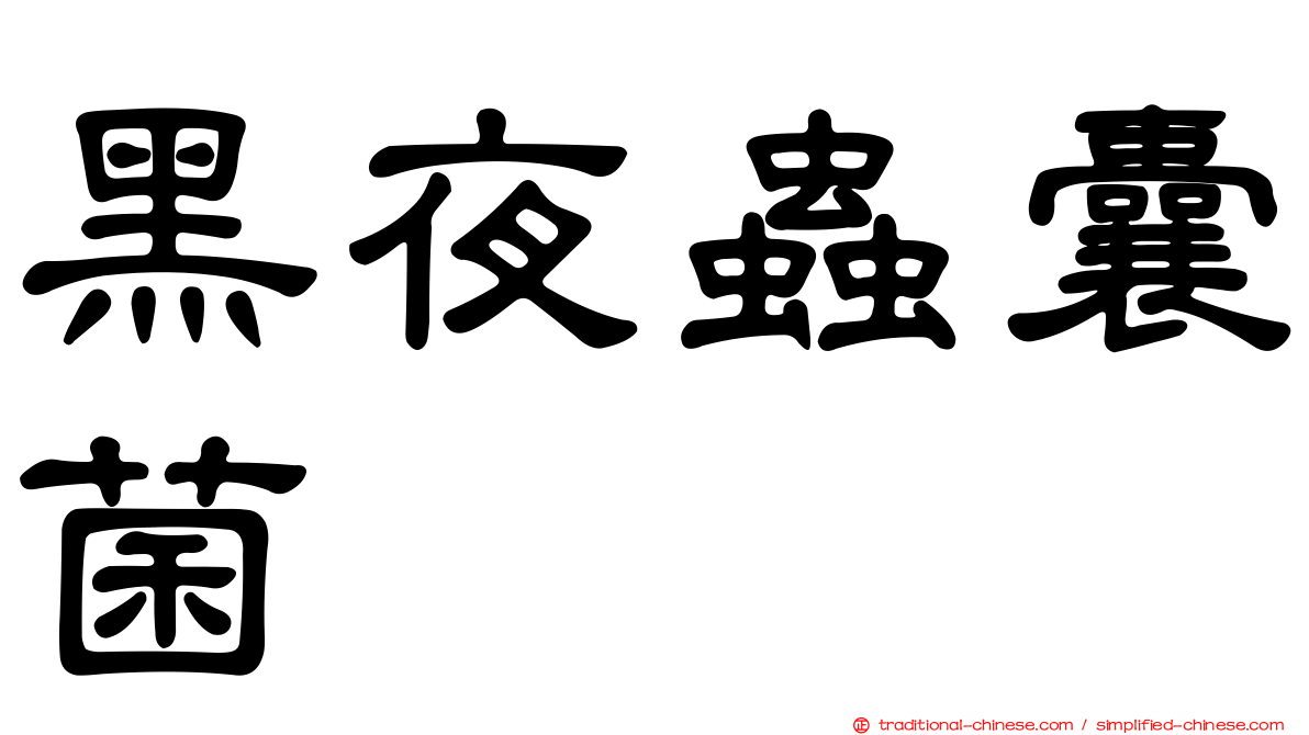 黑夜蟲囊菌