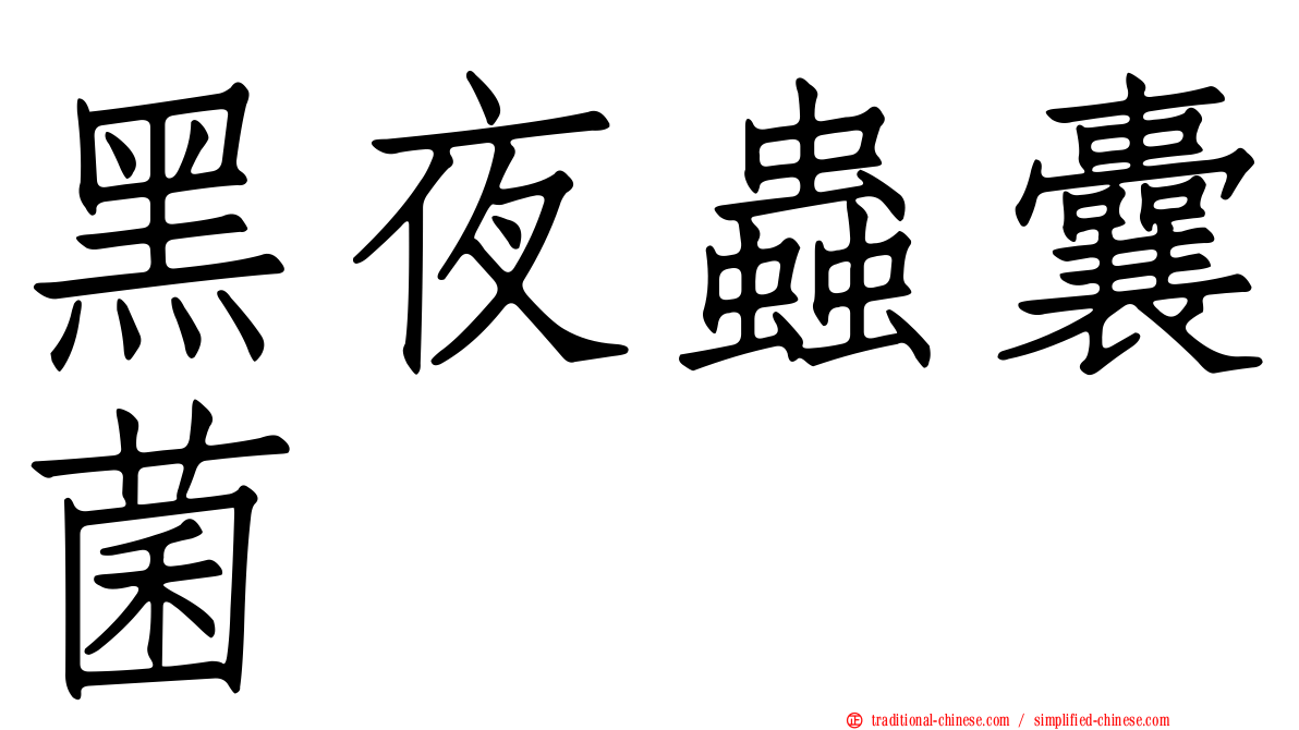 黑夜蟲囊菌