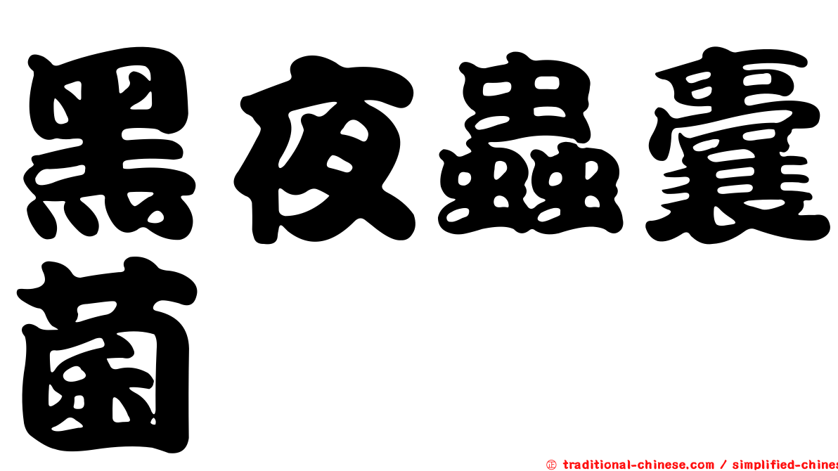 黑夜蟲囊菌