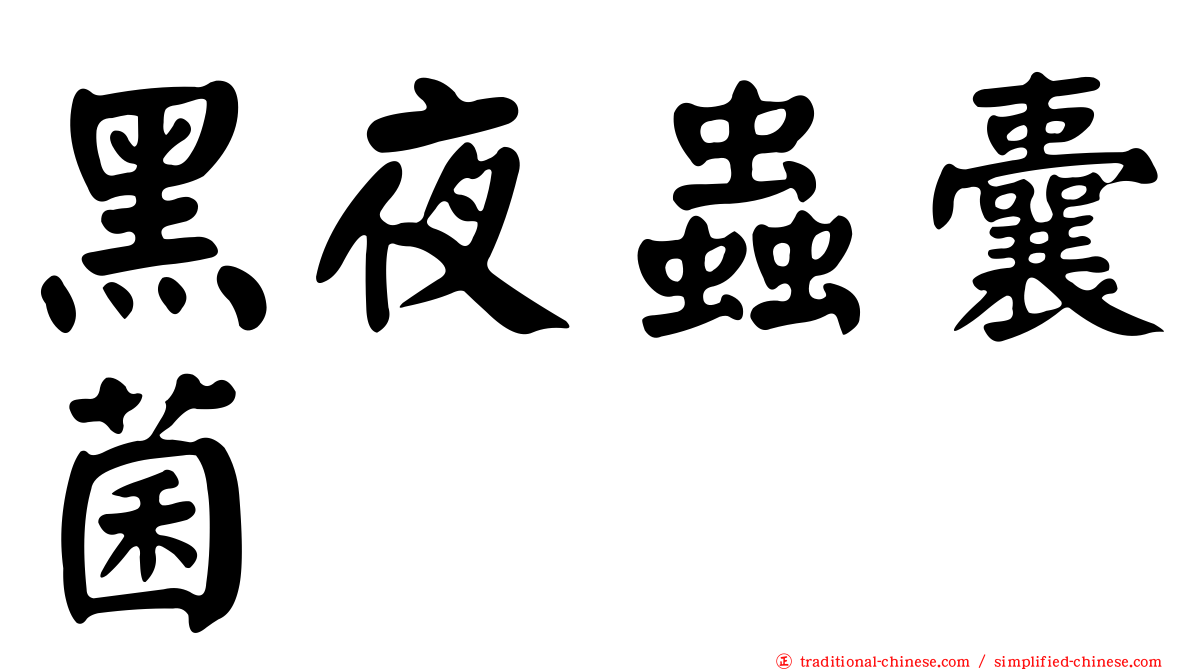 黑夜蟲囊菌