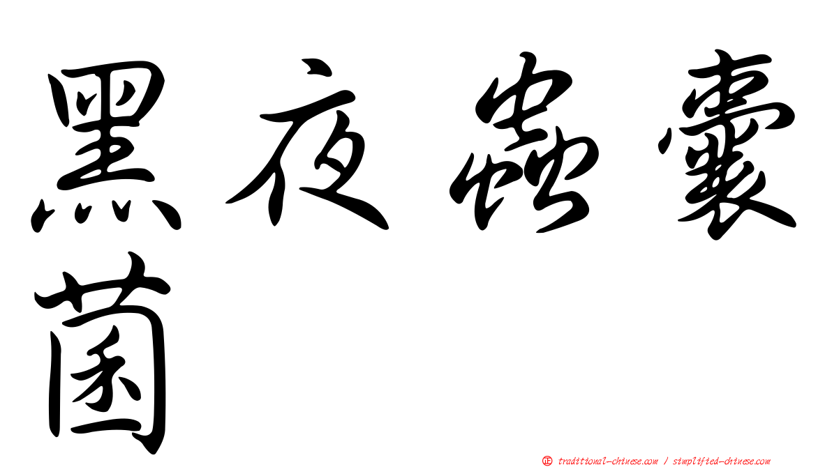 黑夜蟲囊菌