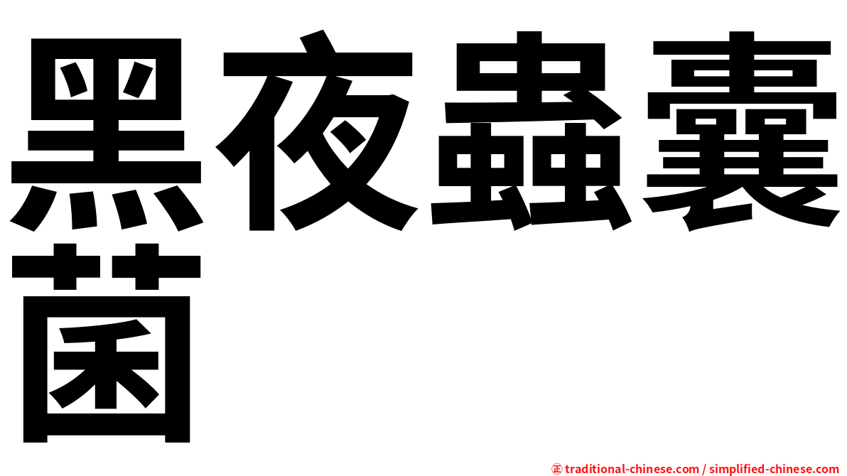 黑夜蟲囊菌