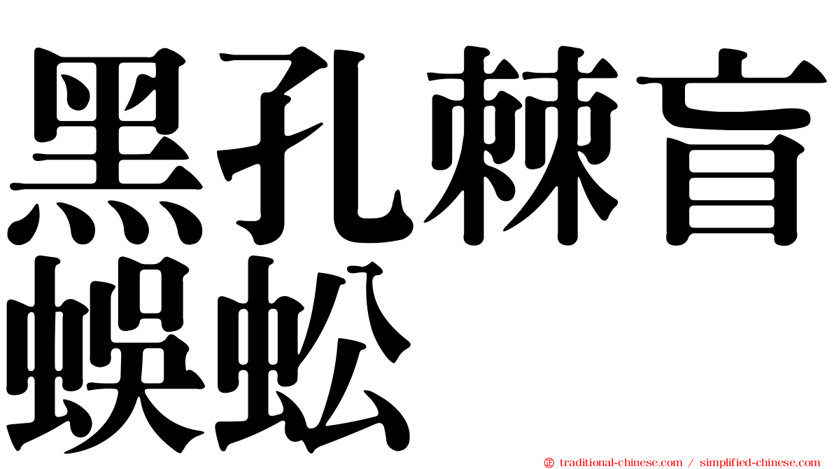 黑孔棘盲蜈蚣