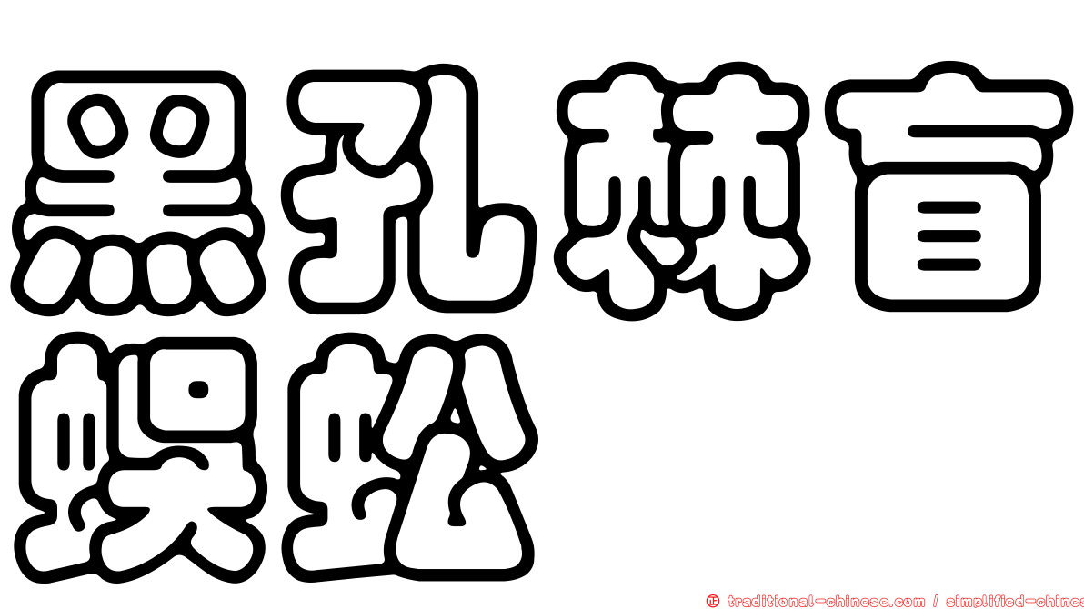 黑孔棘盲蜈蚣