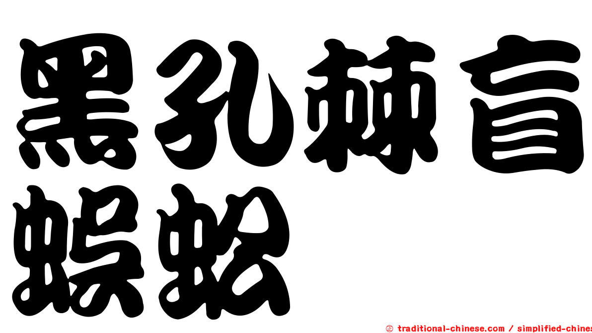 黑孔棘盲蜈蚣