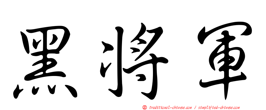 黑將軍