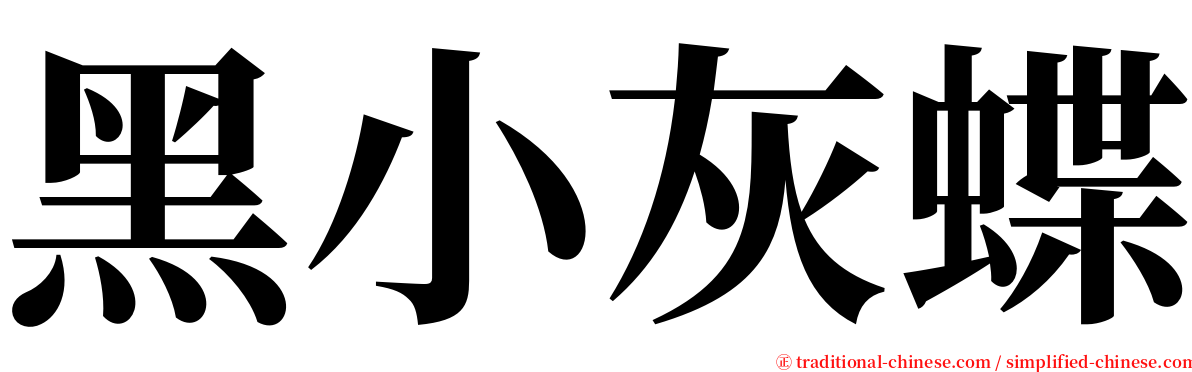 黑小灰蝶 serif font