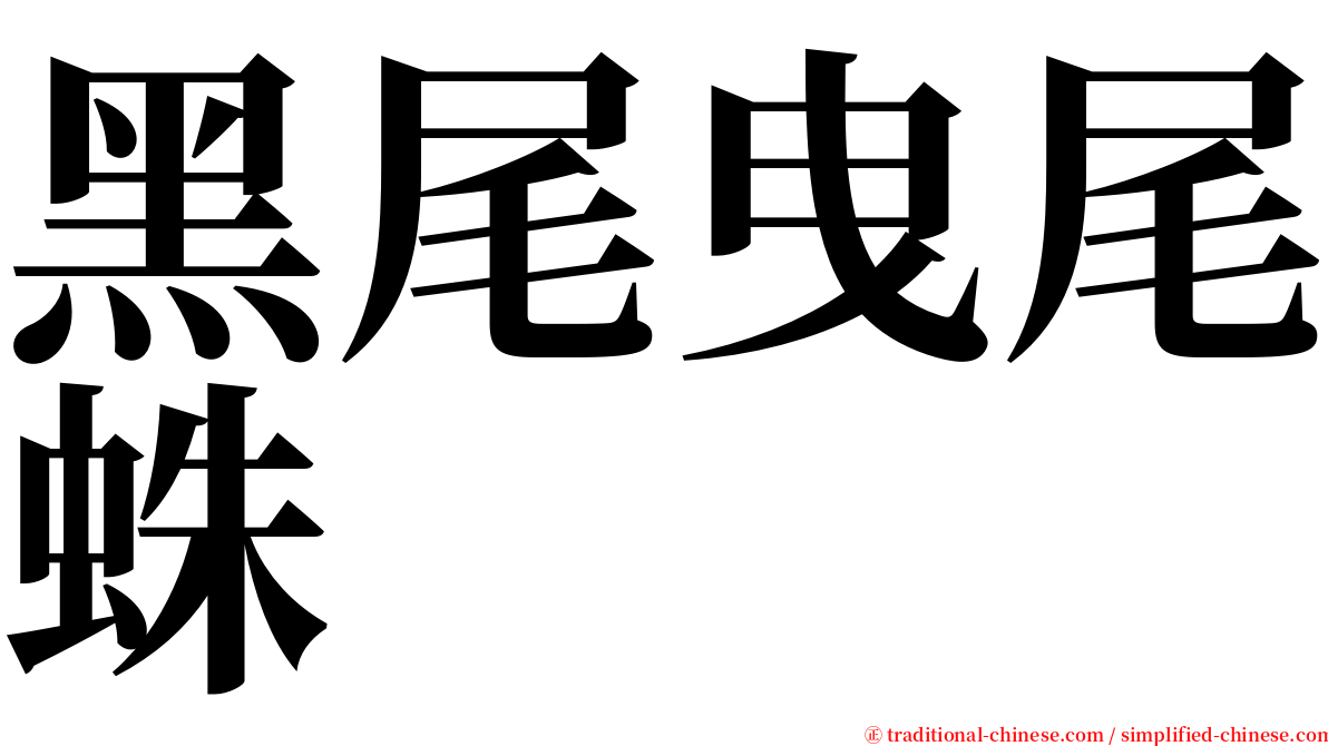 黑尾曳尾蛛 serif font