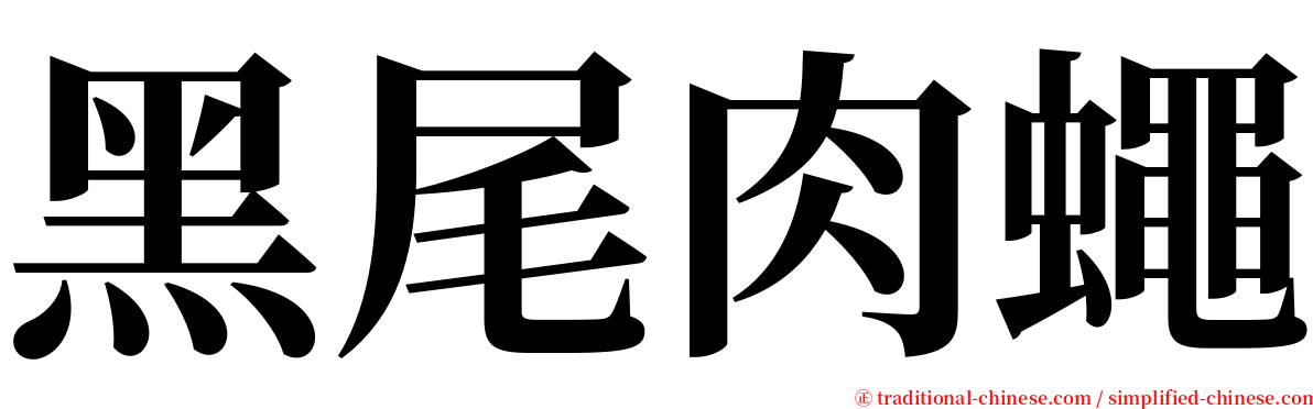 黑尾肉蠅 serif font