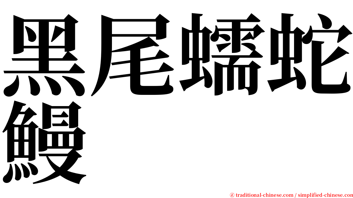 黑尾蠕蛇鰻 serif font