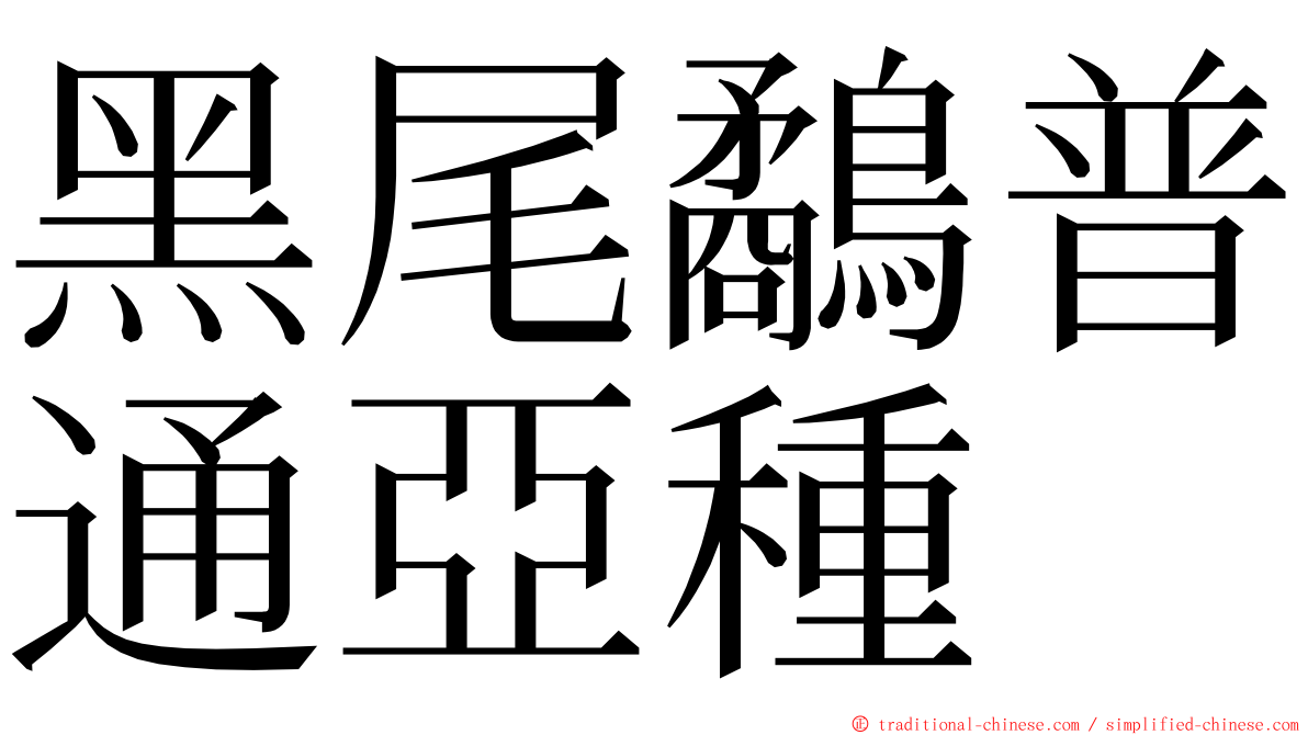 黑尾鷸普通亞種 ming font