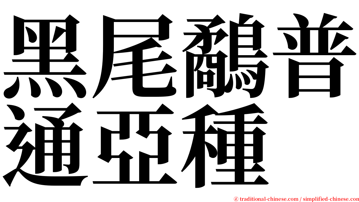 黑尾鷸普通亞種 serif font