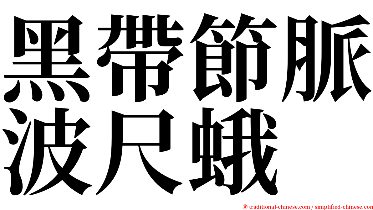 黑帶節脈波尺蛾 serif font