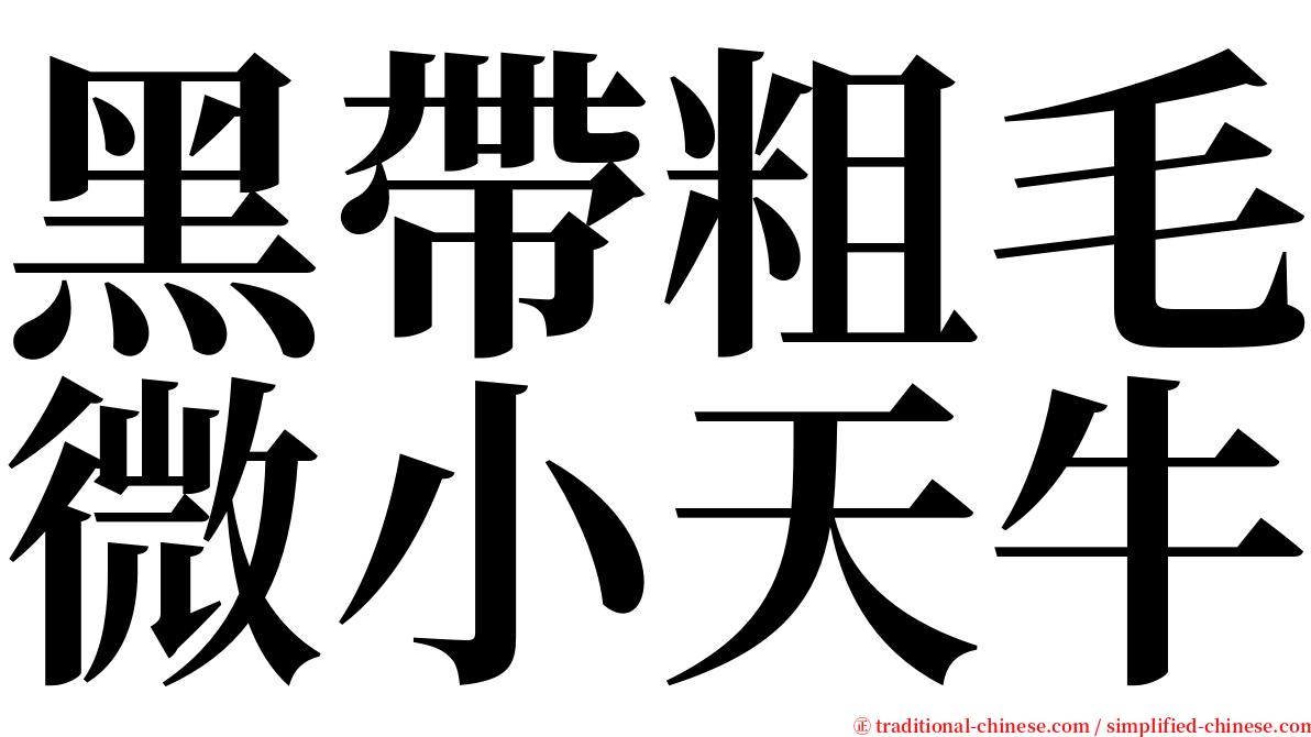 黑帶粗毛微小天牛 serif font