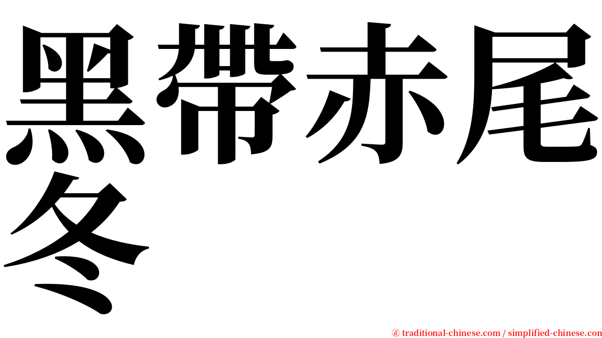 黑帶赤尾冬 serif font