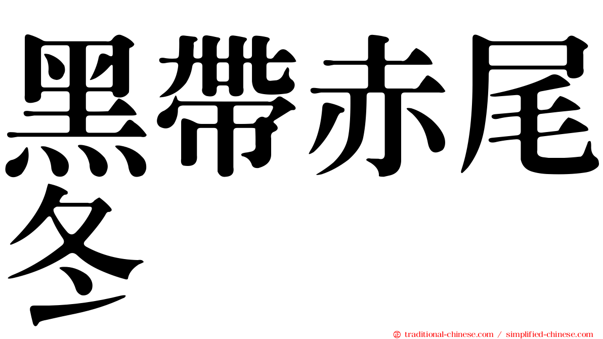 黑帶赤尾冬