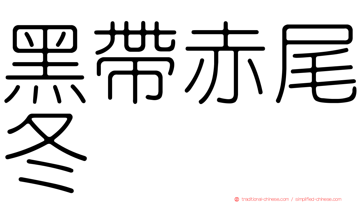 黑帶赤尾冬