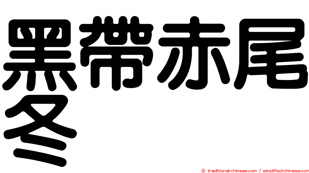 黑帶赤尾冬