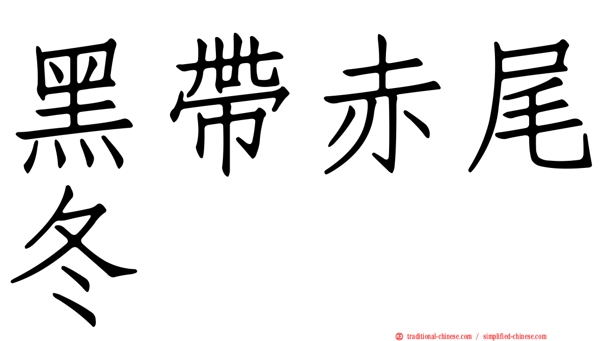 黑帶赤尾冬