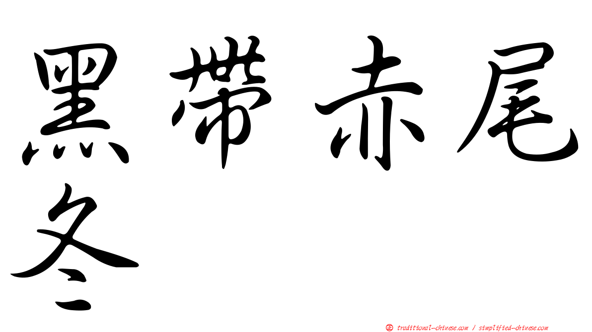 黑帶赤尾冬