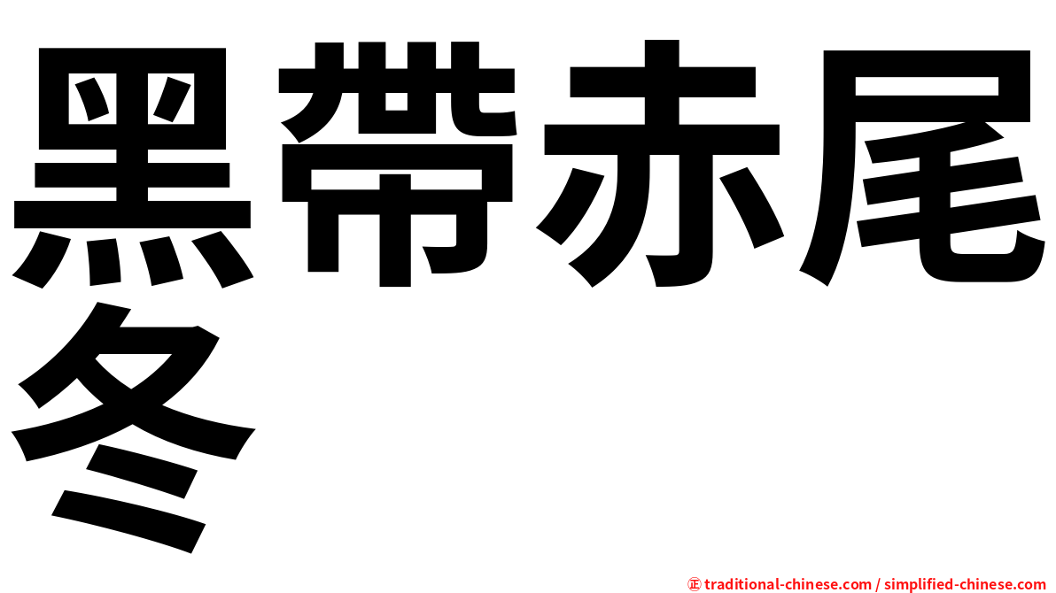 黑帶赤尾冬