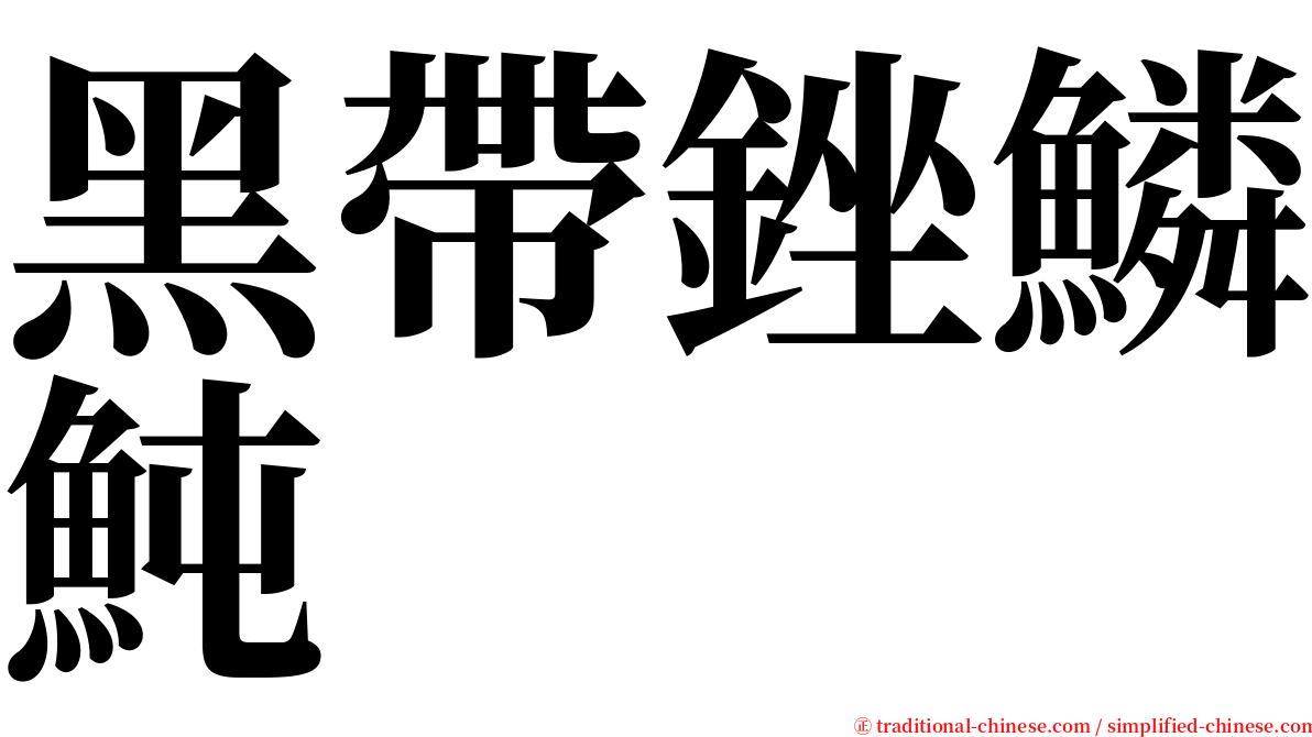 黑帶銼鱗魨 serif font