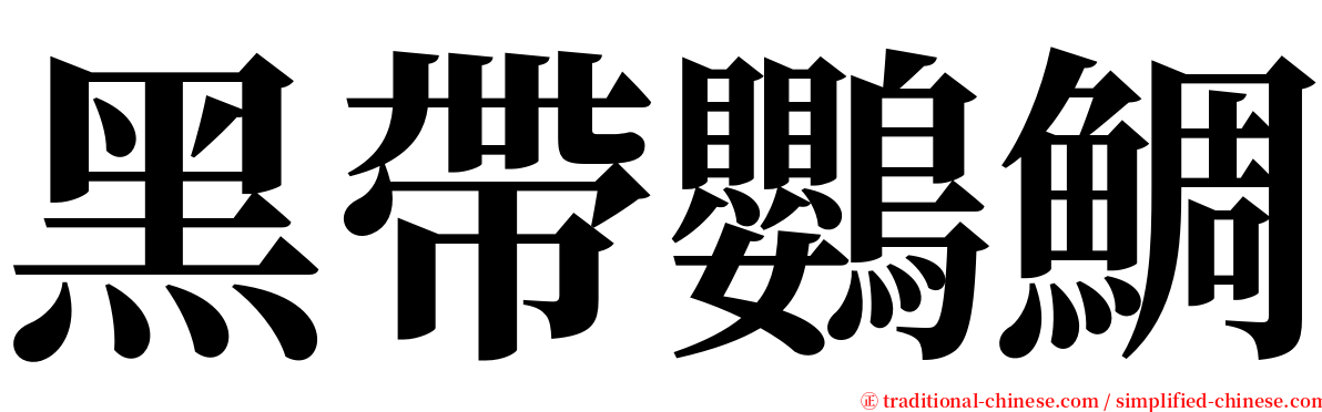 黑帶鸚鯛 serif font