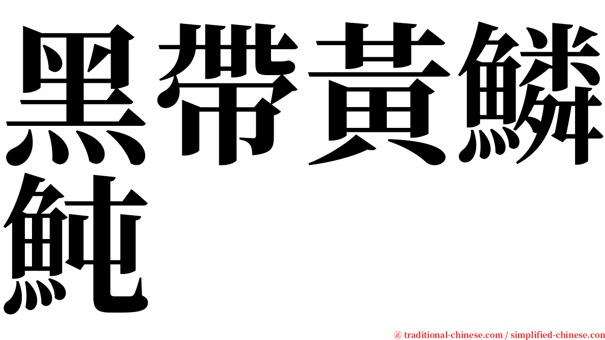 黑帶黃鱗魨 serif font