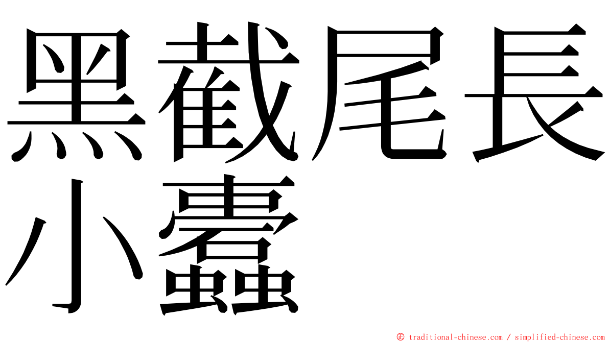 黑截尾長小蠹 ming font