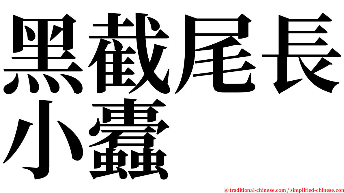 黑截尾長小蠹 serif font