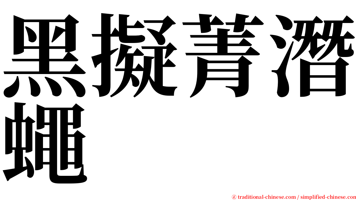 黑擬菁潛蠅 serif font